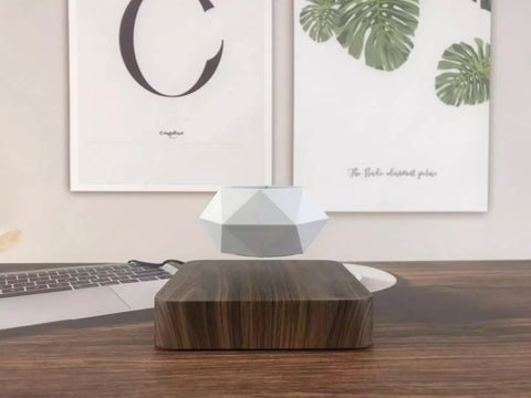 magnetic levitation bonsai